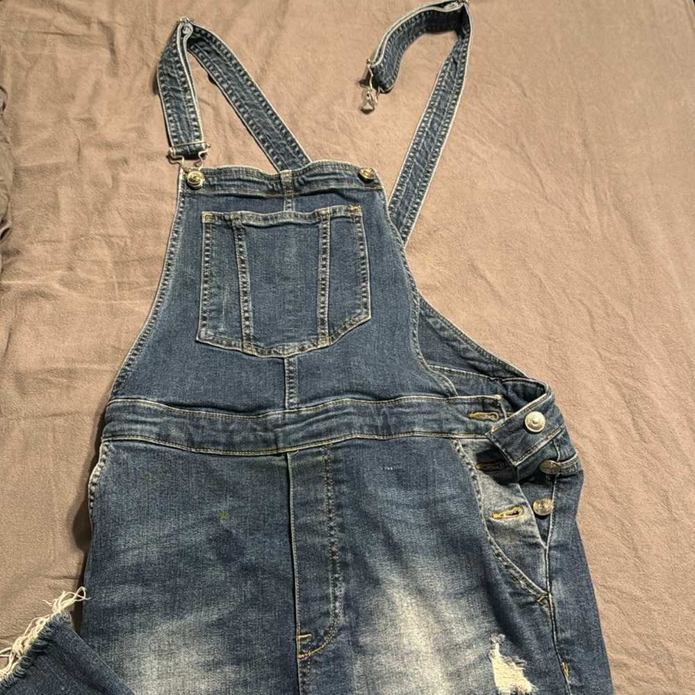 Overalls (Paint Stained)